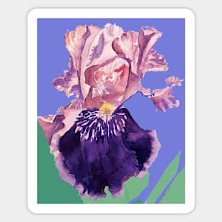 Iris Watercolor Painting - Glorious Purple on Lavender Purple Sticker